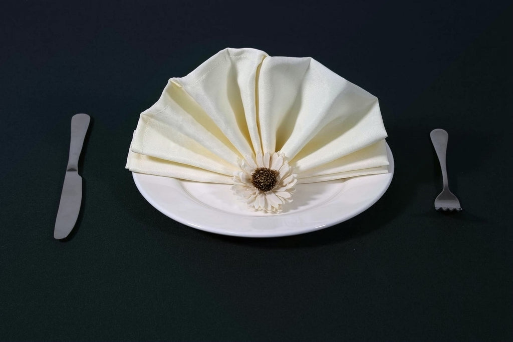 How To Make A Fan Napkin